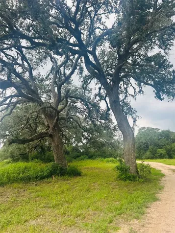 10309 Cr 1 Hallettsville TX 77964