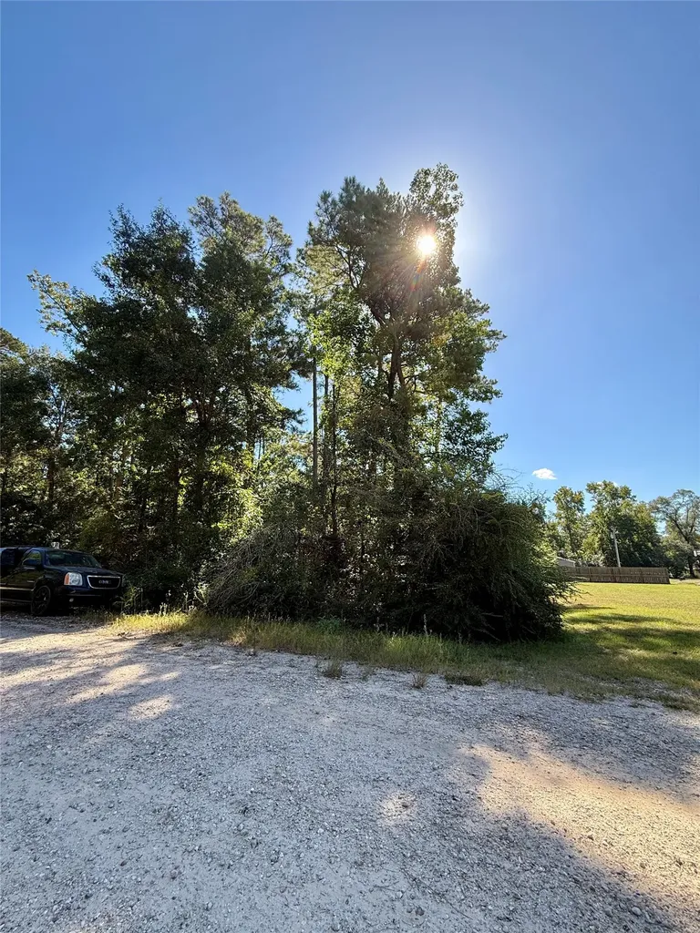 Lot 9 Berry Knoll Livingston TX 77351