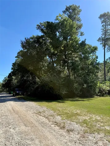 Lot 9 Berry Knoll Livingston TX 77351