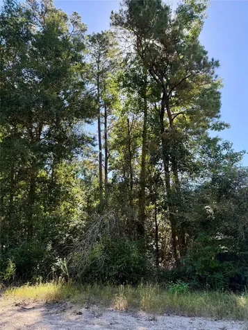 Lot 9 Berry Knoll Livingston TX 77351