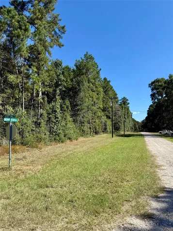 Lot 9 Berry Knoll Livingston TX 77351
