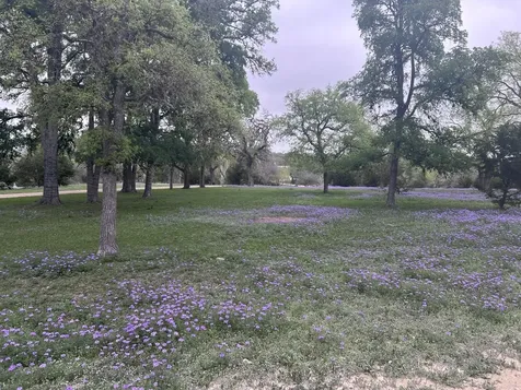 1719 Sisterdale Road Boerne TX 78006