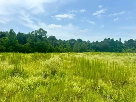 3882 Co Road 4875 Warren TX 77664