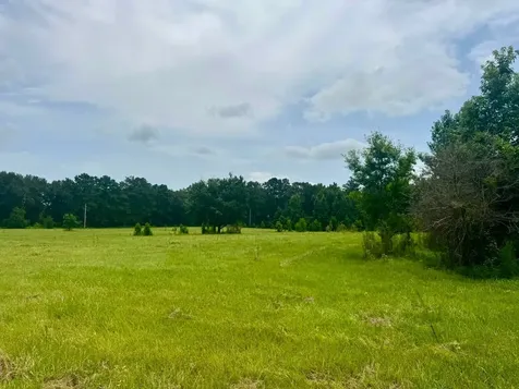 3882 Co Road 4875 Warren TX 77664
