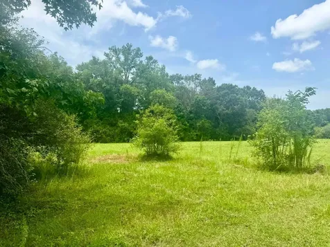 3882 Co Road 4875 Warren TX 77664