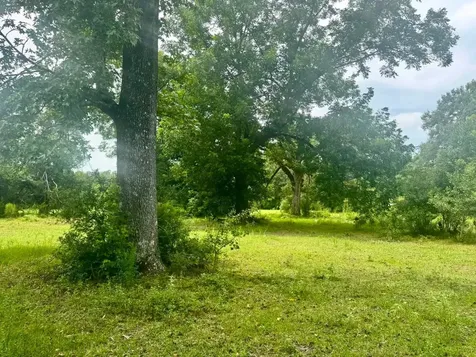 3882 Co Road 4875 Warren TX 77664