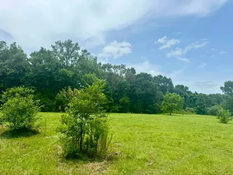 3882 Co Road 4875 Warren TX 77664