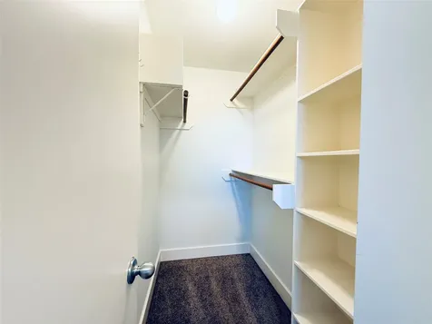 9813 Cynthia Ann Court Houston TX 77025