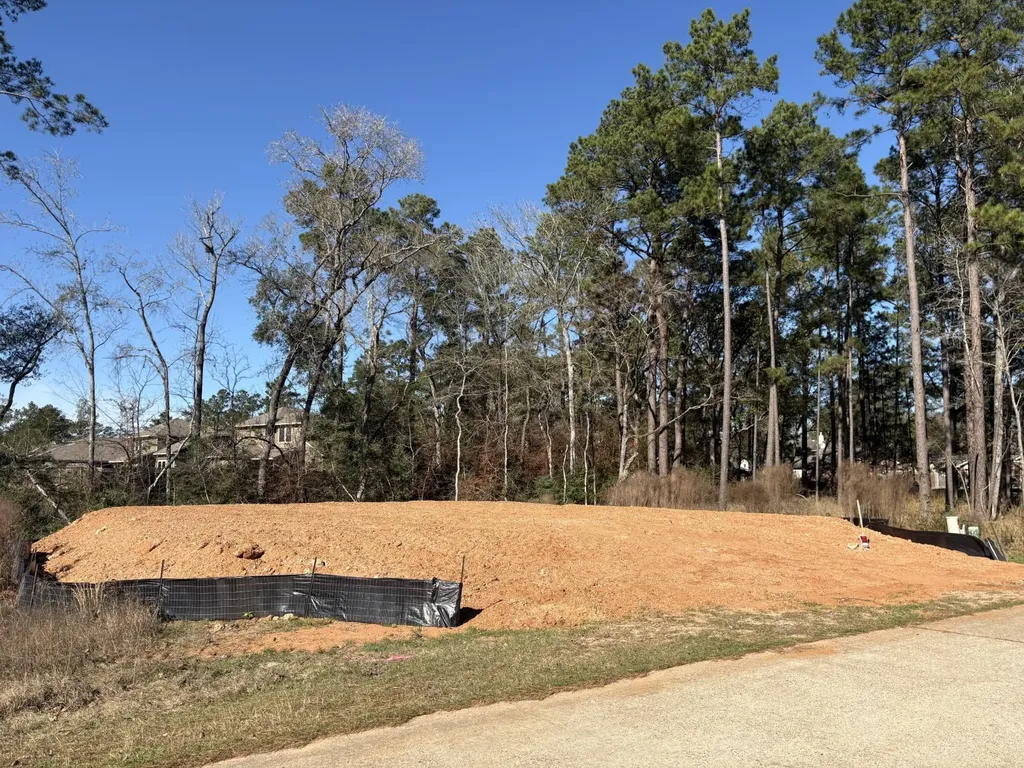 1985 La Salle Park Drive Conroe TX 77304