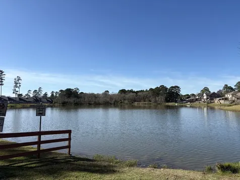 1985 La Salle Park Drive Conroe TX 77304