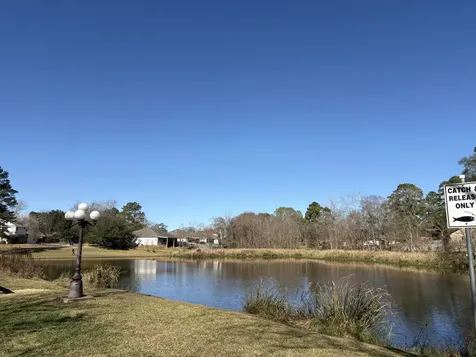 1985 La Salle Park Drive Conroe TX 77304