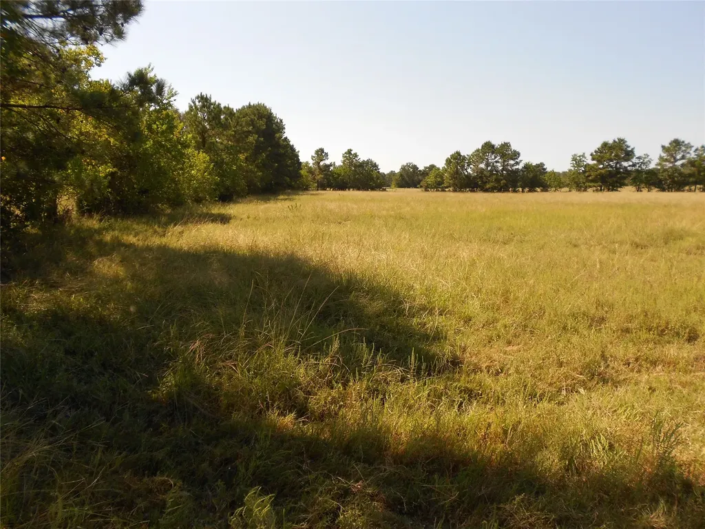 Tbd Turner Street Groveton TX 75845