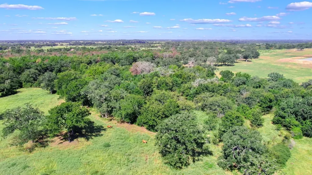 Tbd Cr 227 Caldwell TX 77836