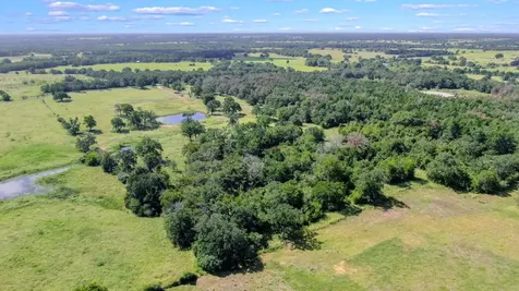 Tbd Cr 227 Caldwell TX 77836