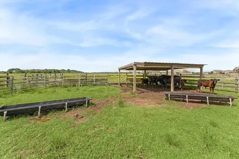 3850 Fm 2917 Road Alvin TX 77511