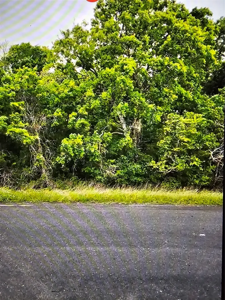 0 County Road 125 Hungerford TX 77448