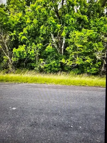 0 County Road 125 Hungerford TX 77448