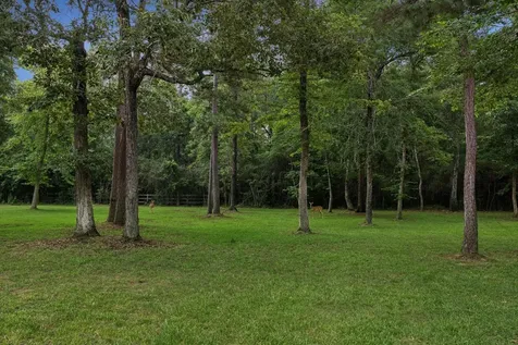 10897 Lake Forest Drive Conroe TX 77384