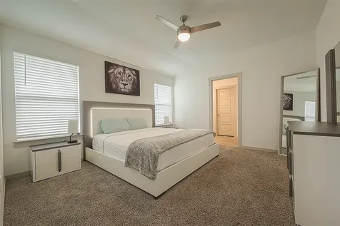 2919 Stamford Hill Lane Houston TX 77047