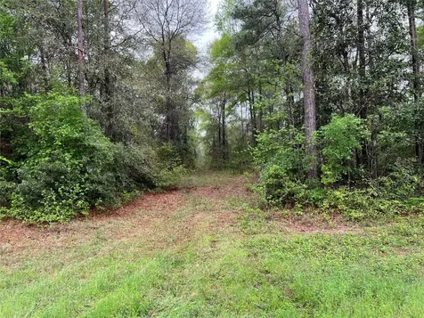 Tbd Farm To Road 943 Livingston TX 77351