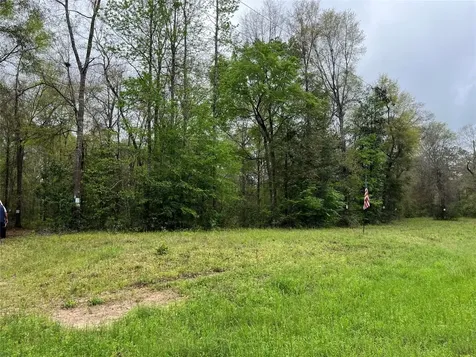 Tbd Farm To Road 943 Livingston TX 77351
