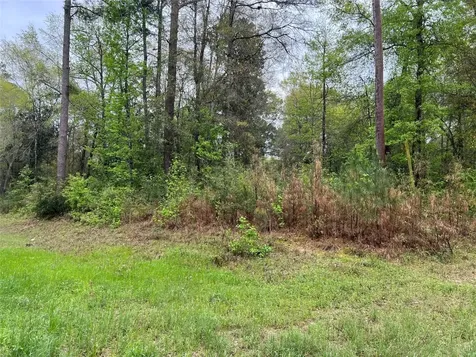 Tbd Farm To Road 943 Livingston TX 77351