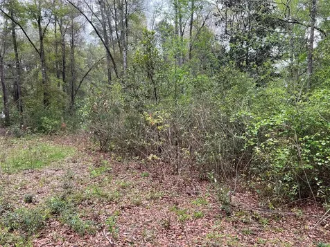 Tbd Farm To Road 943 Livingston TX 77351