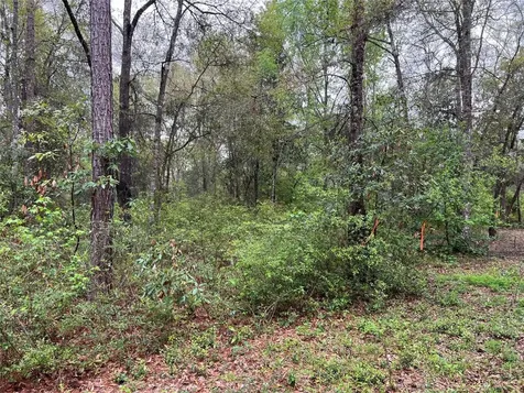 Tbd Farm To Road 943 Livingston TX 77351