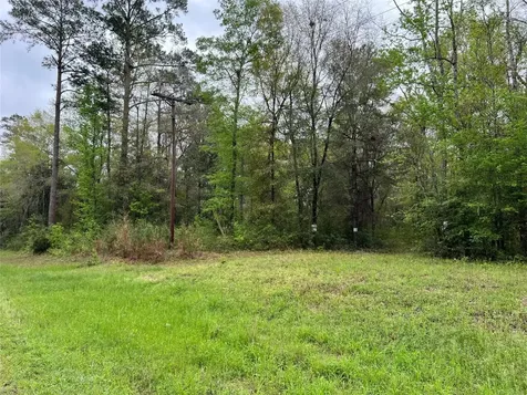 Tbd Farm To Road 943 Livingston TX 77351