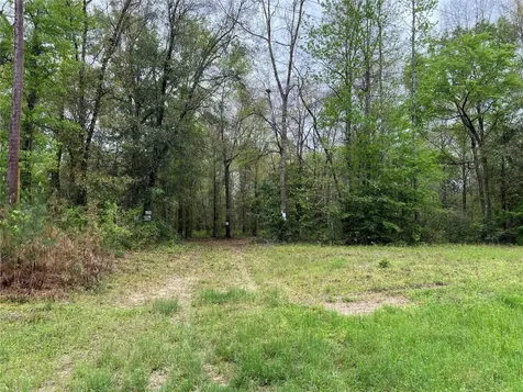 Tbd Farm To Road 943 Livingston TX 77351