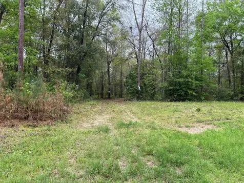 Tbd Farm To Road 943 Livingston TX 77351