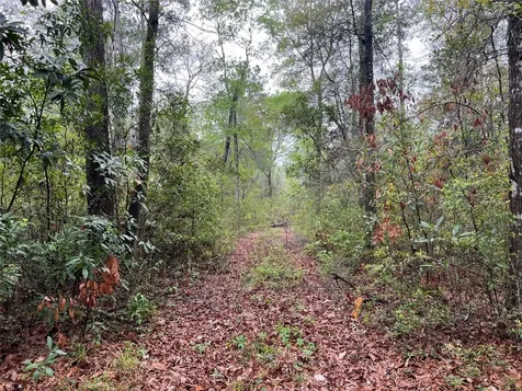Tbd Farm To Road 943 Livingston TX 77351
