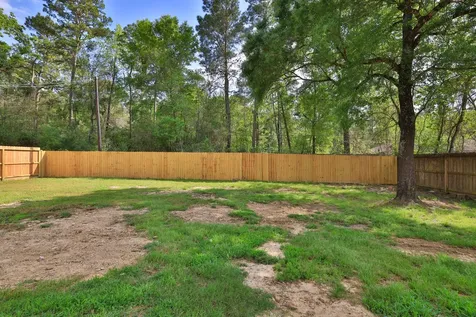 1241 Chateau Woods Parkway Drive Conroe TX 77385