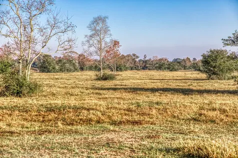Tbd Bauer Hockley Road Hockley TX 77447