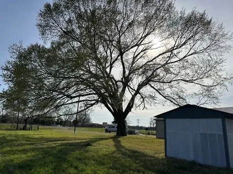 18943 State Highway 7 Centerville TX 75833