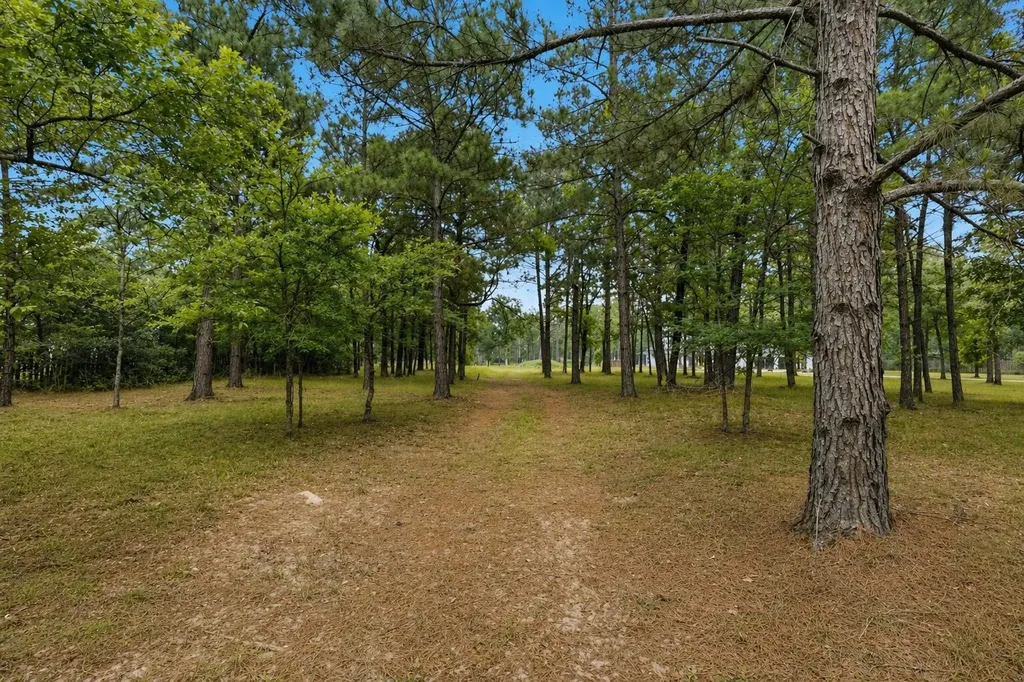 2302 Honea Egypt Road Magnolia TX 77354