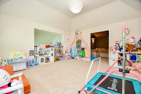 29011 Oldfield Court Katy TX 77494