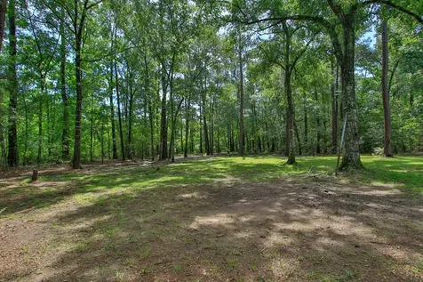 18631 Mink Lake Drive Magnolia TX 77355