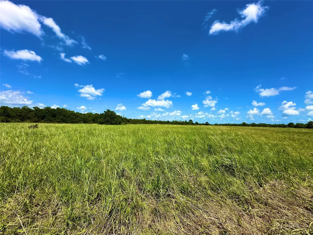 2101 W Bayshore Road Anahuac TX 77514