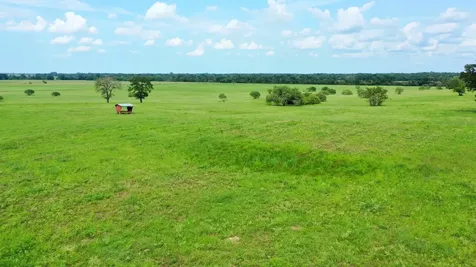 5059 County Road 132 Bedias TX 77831