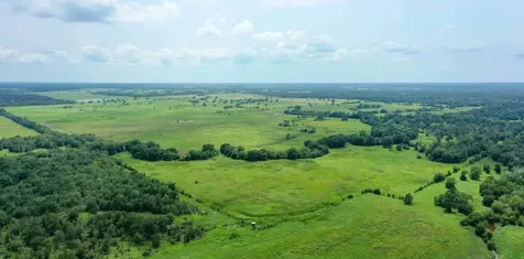5059 County Road 132 Bedias TX 77831