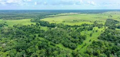 5059 County Road 132 Bedias TX 77831