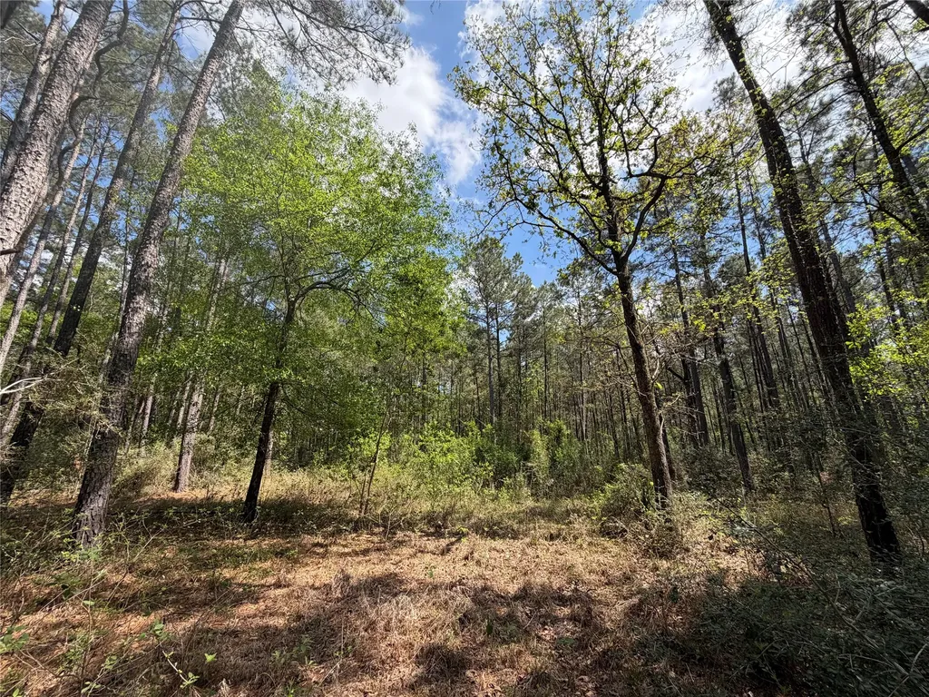 19-6-1 Dedication Trail Huntsville TX 77340