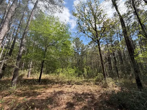 19-6-1 Dedication Trail Huntsville TX 77340