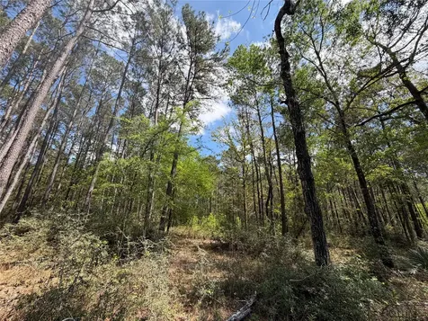19-6-1 Dedication Trail Huntsville TX 77340