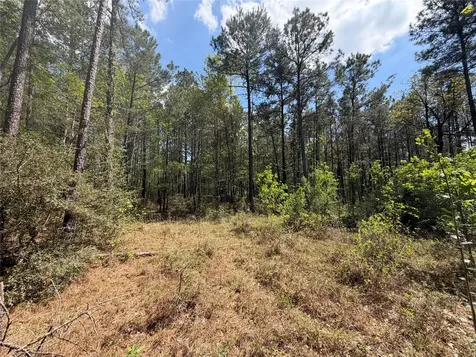 19-6-1 Dedication Trail Huntsville TX 77340