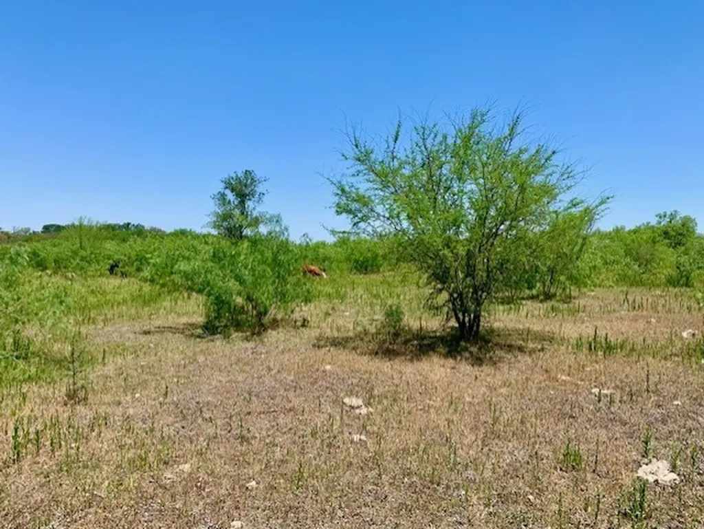 4703 Scenic Lake Drive Schertz TX 78154
