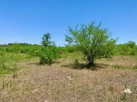 4703 Scenic Lake Drive Schertz TX 78154