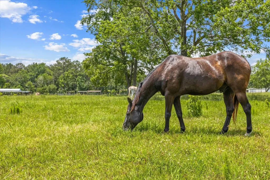 000 Tbd 3 Fm 1632 Woodville TX 75979