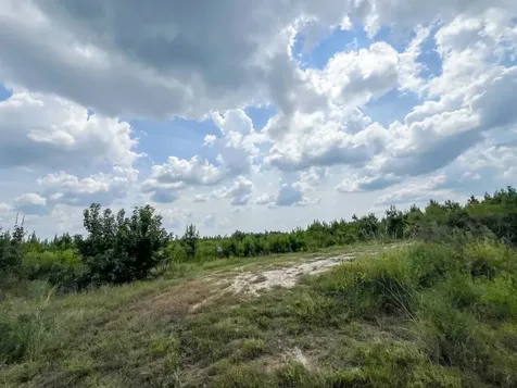3 Rec Road 255 Browndell TX 75931